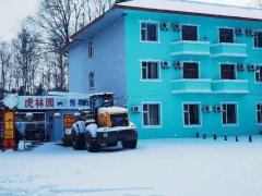 <b>游客长白山观赏东北虎因何常吃“闭门羹”?</b>