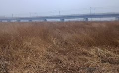 秸秆处理劳务费拖欠六年不给,德惠26个农户向社会各界的公开求助