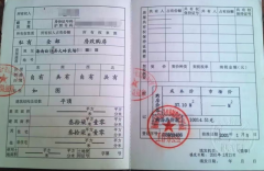 <b>海南一“公章之争”背后：虚假诉讼、假证风波与治理困局</b>